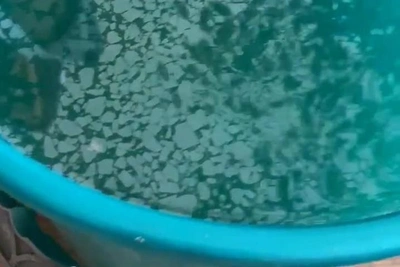 Тюменка показала воду с осадком и пленкой — видео