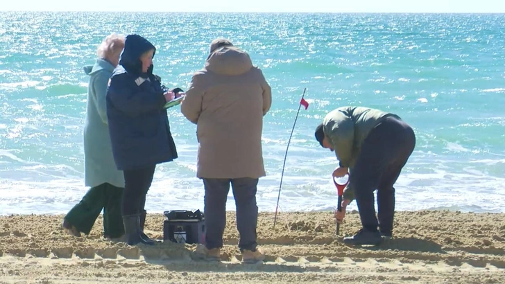 В Анапу завезли 40 тыс. тонн чистого песка из соседнего района. Решающее слово за Роспотребнадзором