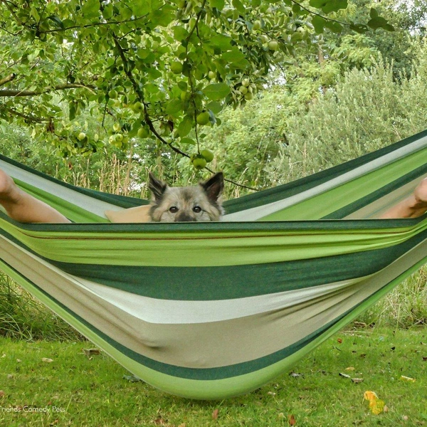 Источник: Comedy Pet Photography Awards