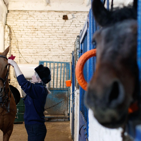 Новый год лошадки встретили нарядными, причем, судя по цветам и блеску украшений, заранее посоветовались со стилистами | Источник: Андрей Бортко / NGS.RU