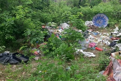 В Приамурье обнаружена свалка на сельхозземлях