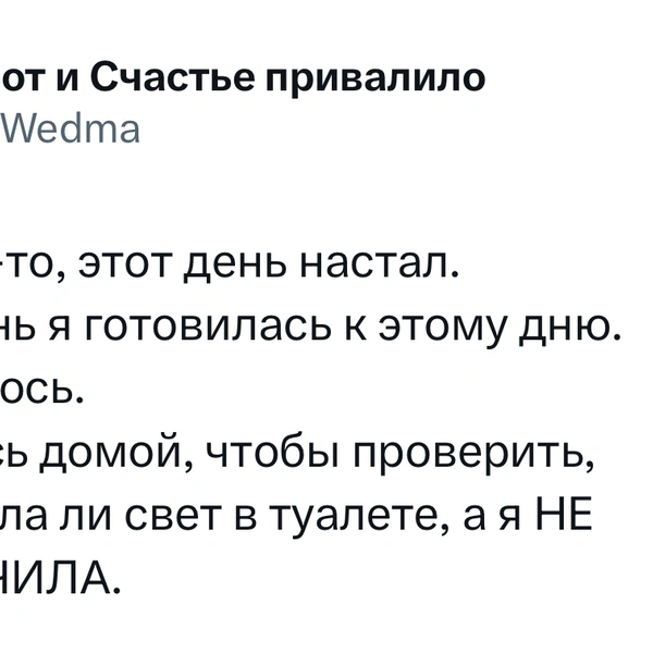 Источник: X (Twitter)