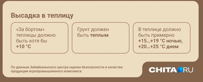 Источник: Юрий Скулыбердин / Городские медиа 