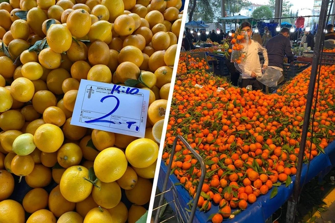 Фрукты и овощи в Турции в разы дешевле, чем в России | Источник: Артем