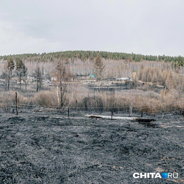 Источник: Олег Федоров / CHITA.RU