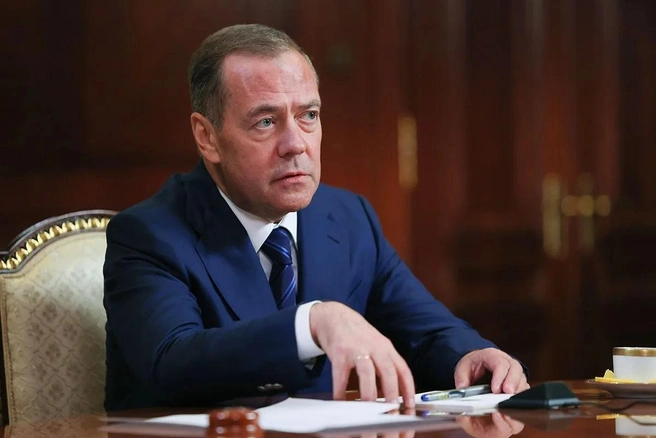 Медведев разъяснил логику защиты ключевых отраслей, без которых невозможна устойчивость всей экономики страны | Источник: Екатерина Штукина