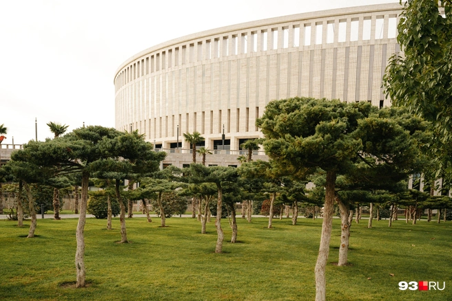 История оказалась старой | Источник: Дарья Паращенко / 93.RU