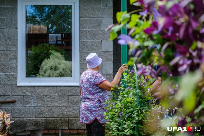 Часть зданий пришлось строить заново после пожара | Источник: Булат Салихов / UFA1.RU