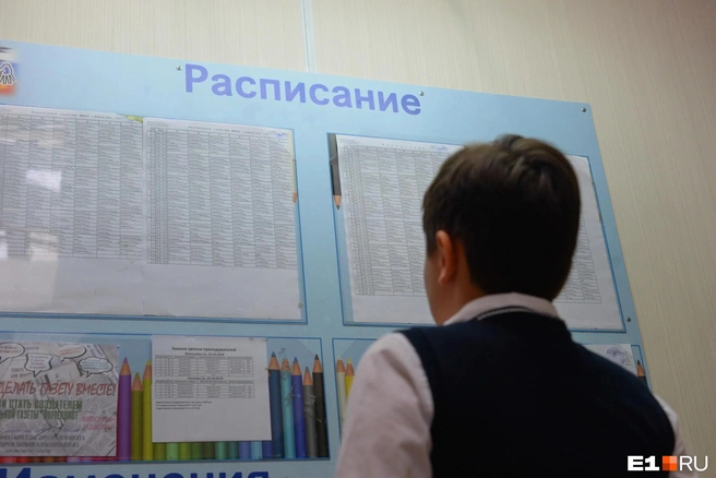 Во все школы направят рекомендации для единого расписания  | Источник: Артем Устюжанин / E1.RU