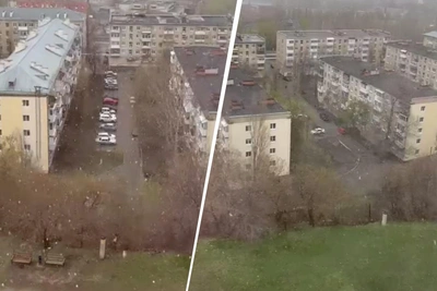 Накануне майских праздников в Саратове пошел снег