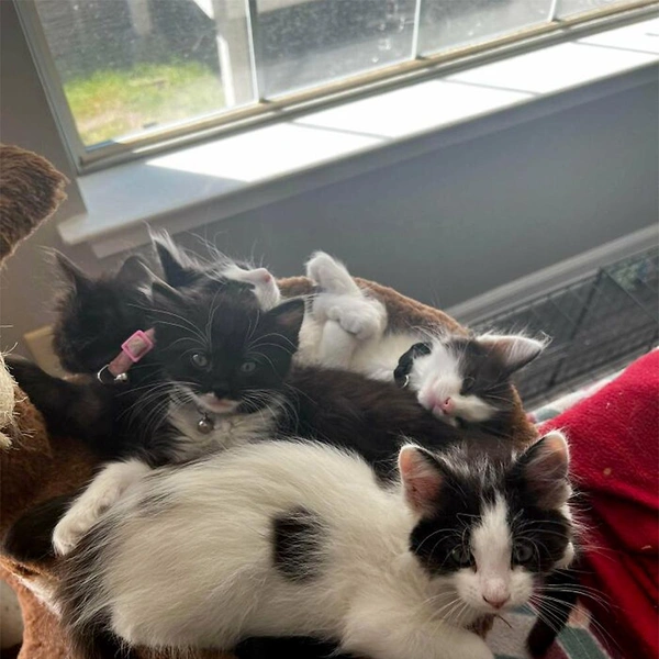 Источник: соцсеть