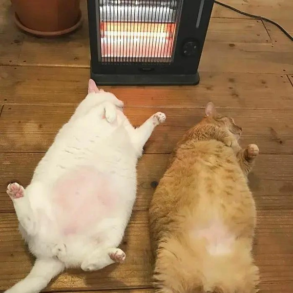 Источник: соцсети