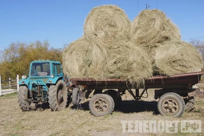 Лесные питомники Амурской области получили новую технику