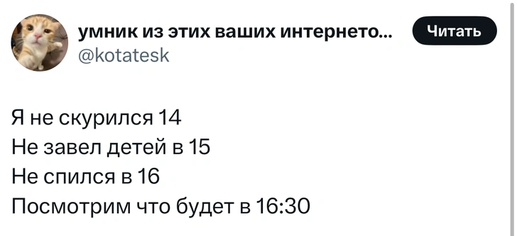 Источник: X (Twitter)