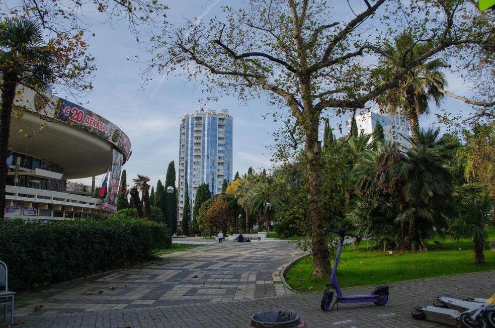 Зеленые пальмы и газоны! | Источник: Оксана Витязь / SOCHI1.RU