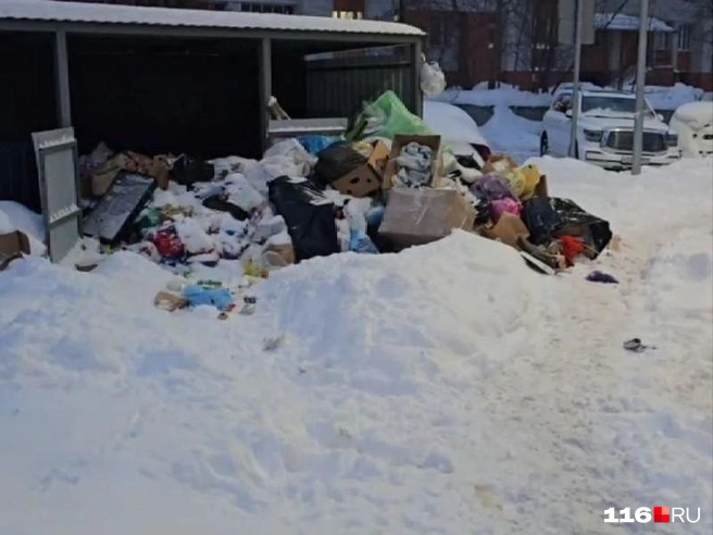 Из-за полных баков мусор скидывается прямо на землю | Источник: читатель 116.RU