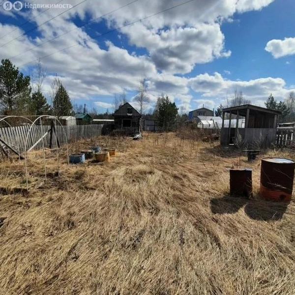 Земля, по словам продавца, плодородная | Источник: realty.yandex.ru