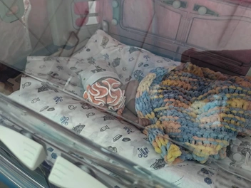 Источник: предоставлено Всеволожской районной больницей