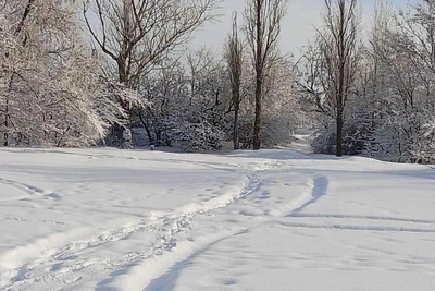 Дороги Волгоградской области замело из-за снегопада