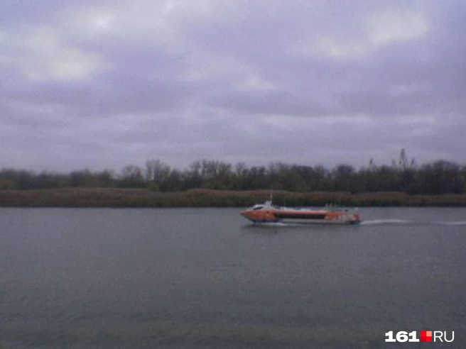 Источник: Евгений Вдовин / 161.RU