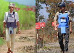 По стопам принцессы Дианы: принц Гарри прошел по минному полю