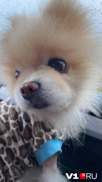 И доставать самые красивые наряды | Источник: читатели V1.RU