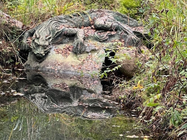 Сейчас все силы героини брошены на развитие собственного экопарка | Источник: Вера Фукс