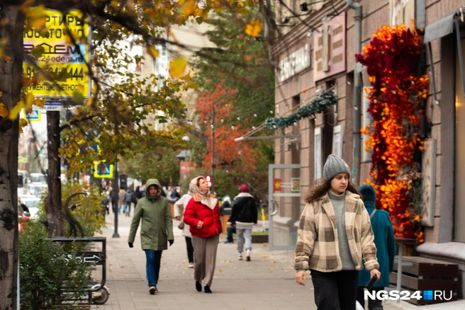 Осень пока еще «золотая», но скоро выпадет снег | Источник: Никита Шайхутдинов / NGS24.RU