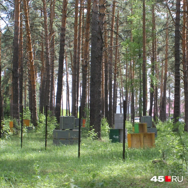 Источник: Александр Лисихин / 45.RU