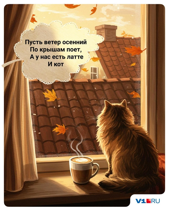 От латте, думается, не откажется даже котик | Источник: Полина Авдошина / V1.RU