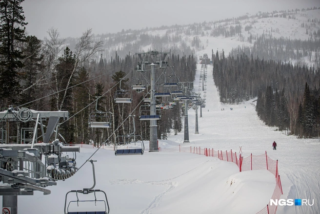 Источник: Александр Ощепков / NGS.RU