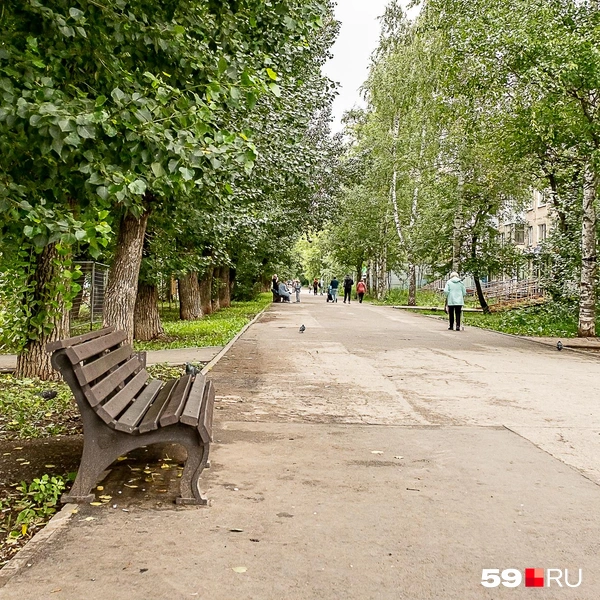 Источник: Василина Любимова / 59.RU