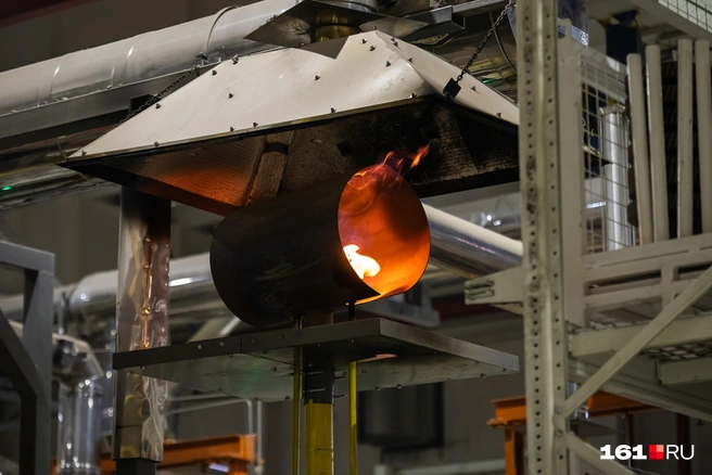 Источник: Евгений Вдовин / 161.RU