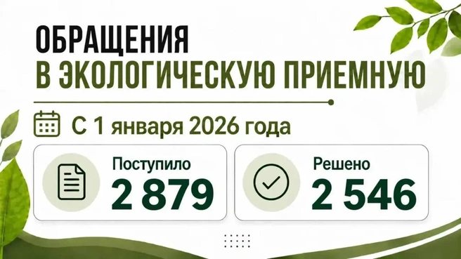 Экологи решили 2 546 обращений татарстанцев с начала года | Источник: tatarstan.ru