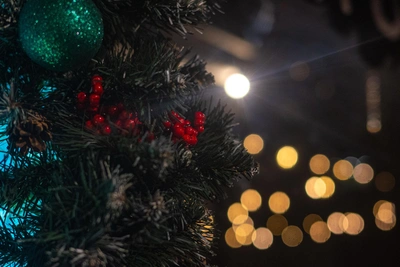 На ЧМЗ зажгли новогодние гирлянды после жалобы