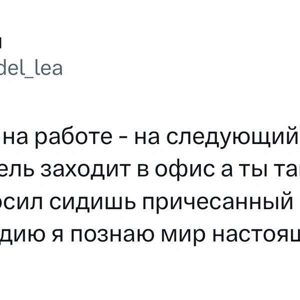 Источник: X (Twitter)