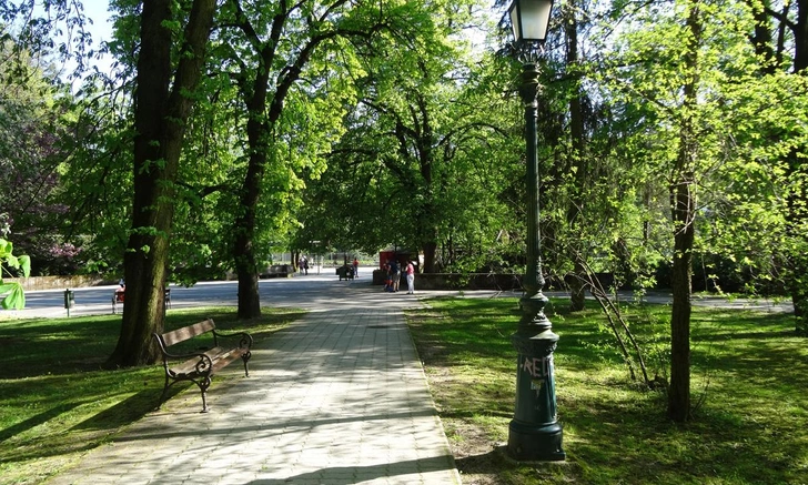 Источник: предоставлено Анной Ерофеевой