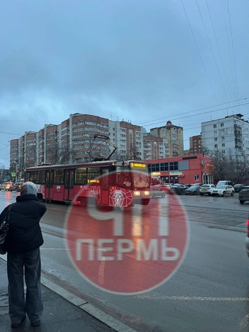 Трамваи стоят друг за другом | Источник: ЧП ДТП Пермь / Telegram