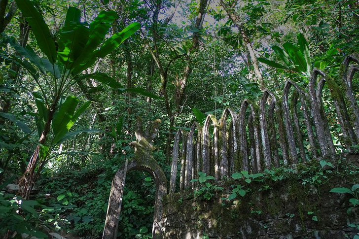 Зов джунглей: представляем майский номер «Вокруг света»