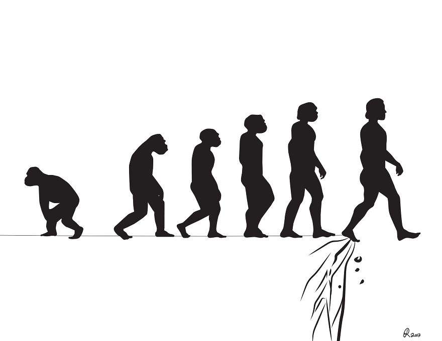 Пару  картинок про эволюцию :-) Хулиганство