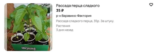 Источник: Avito.ru