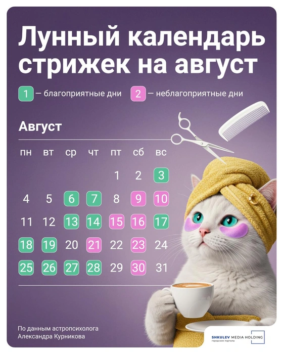 Источник: Полина Авдошина / Городские медиа