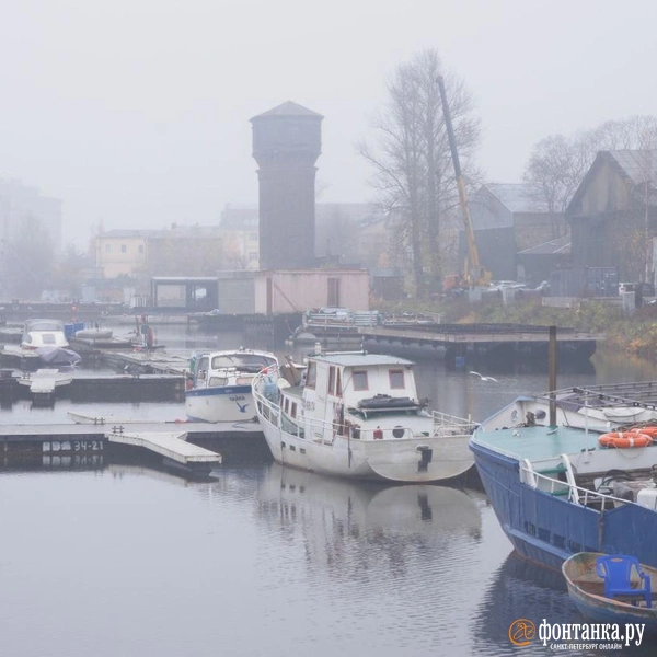 Источник: Сергей Николаев / FONTANKA.RU