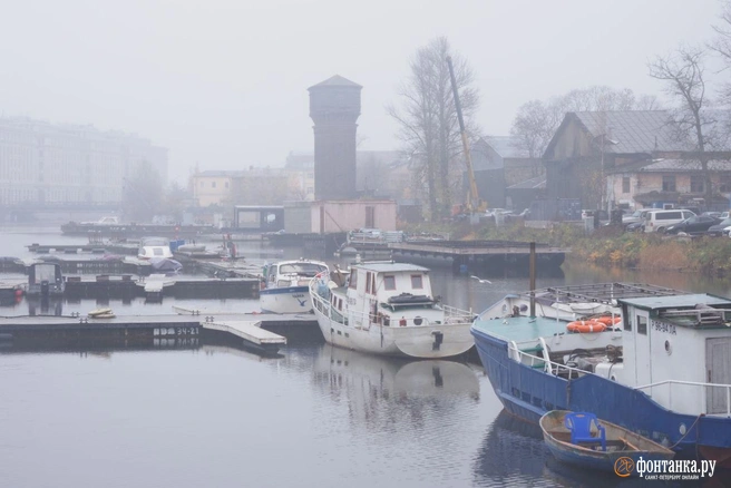 Яхтсмены Галерной гавани выразили сожаление из-за расчистки берега и расторжения договоров | Источник: Сергей Николаев / FONTANKA.RU