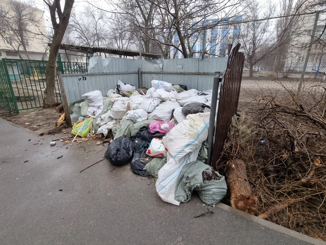 Возле площадки скопились большие объёмы обрезков деревьев и растений. | Источник: Константин Завриков / V1.RU