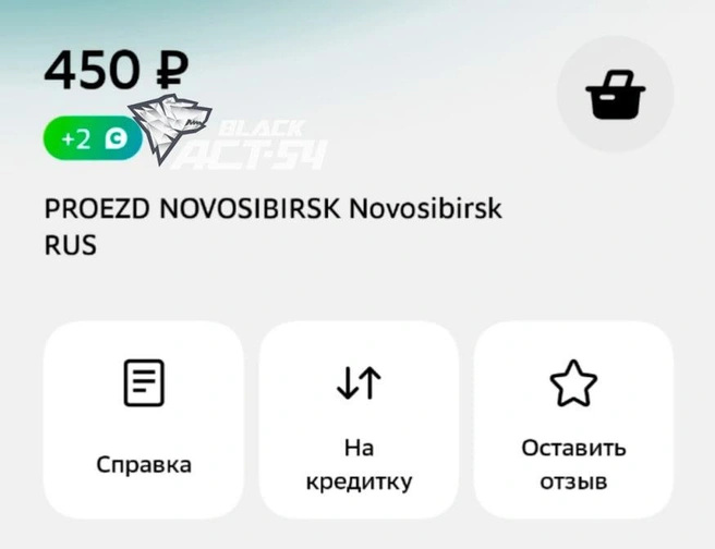 Сегодня проезд подорожал до 45 рублей в троллейбусах, автобусах и трамваях, но некоторые заплатили больше положенного | Источник: «АСТ-54 Black» / Telegram
