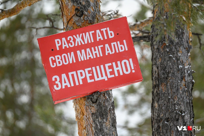 Некоторые штрафы доходят и до сотен тысяч рублей | Источник: Олег Фёдоров / CHITA.RU