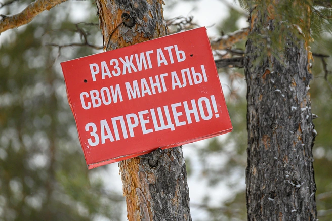 Можно или нельзя в Петербурге жарить шашлыки&nbsp;— чиновники отвечают однозначно: «Нельзя» | Источник: Олег Фёдоров / CHITA.RU