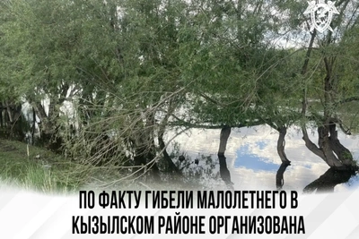 В Кызылском районе проверяют обстоятельства гибели мальчика