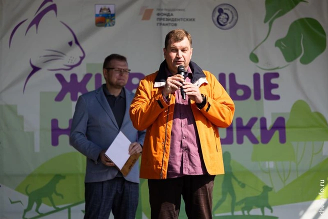 Источник: st.cherinfo.ru